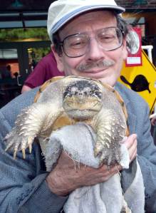 Turtle lover and common snapping turtle.